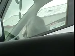 Pornó videó vonzó eu ...