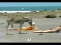 Pornó öregek szexeln ...