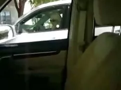 Videó pornó állatos  ...