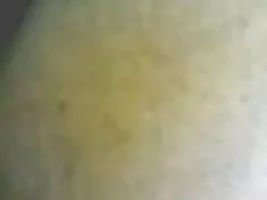 Pornó videók egy gyö ...