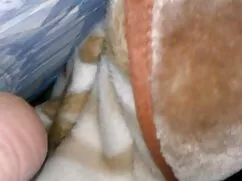 Macska pornó videók, ...