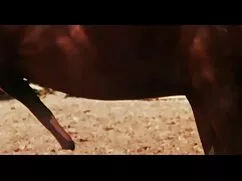 Német orvos perverz  ...